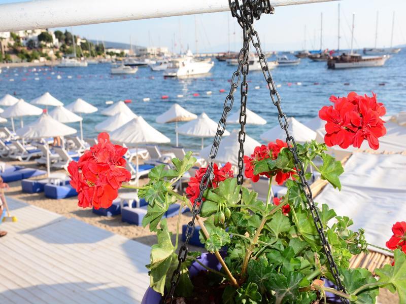 Angora Hotel Αλικαρνασσός Εξωτερικό φωτογραφία